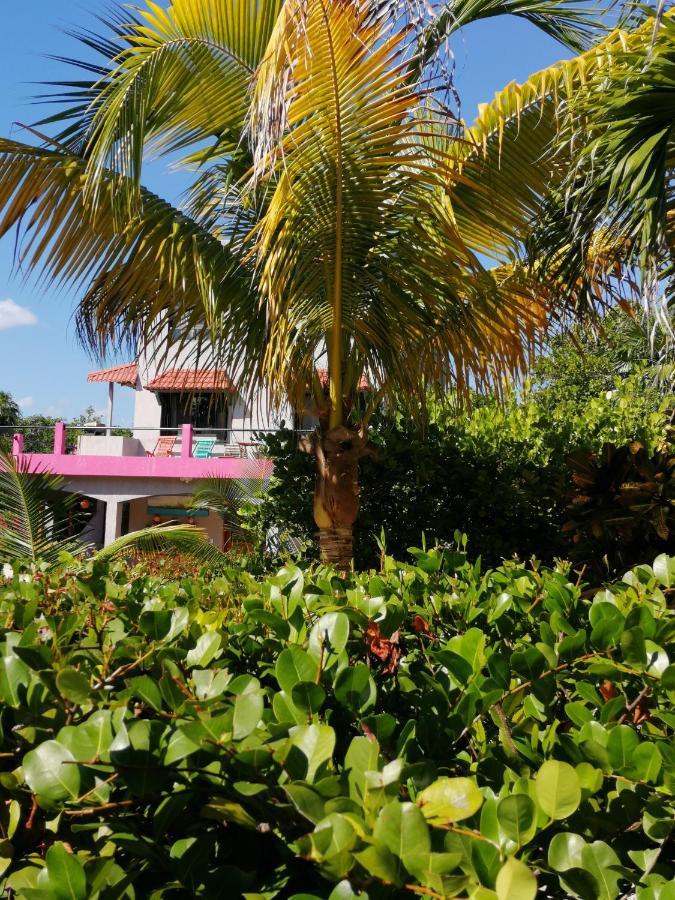 Margarita Del Sol Hotel Costa Maya Mahahual Exterior foto