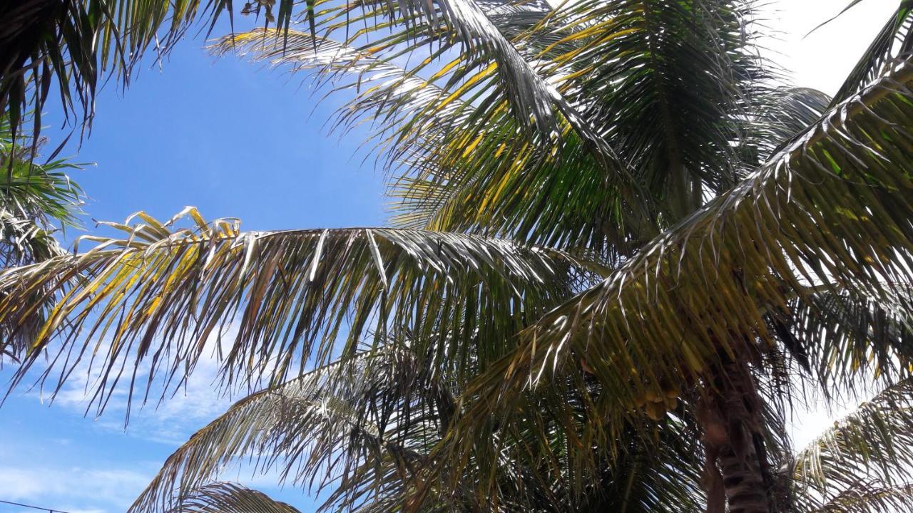 Margarita Del Sol Hotel Costa Maya Mahahual Exterior foto