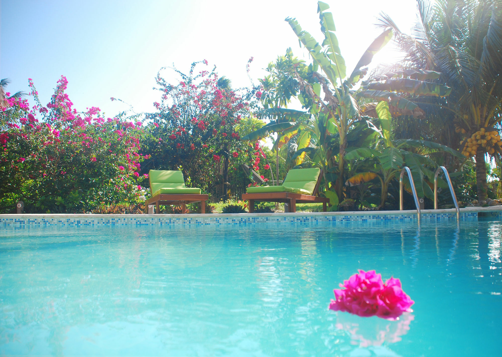 Margarita Del Sol Hotel Costa Maya Mahahual Exterior foto